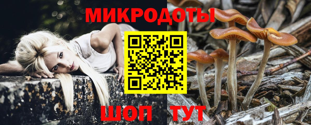 Псилоцибиновые грибы Psilocybe  Вход с VPN  Камышлов 