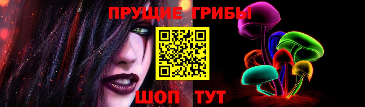 Псилоцибиновые грибы Psilocybe Камышлов